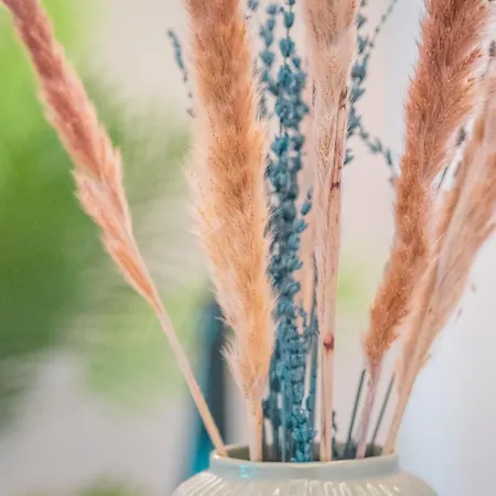 Sleeping - Red House *