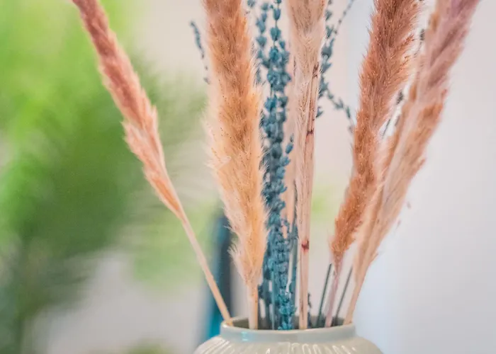 Sleeping - Red House *